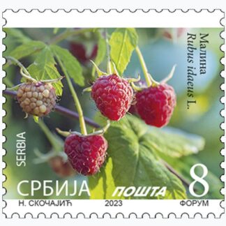 2023 Малина - Rubus idaeus L. 2023 редовна поштанска марка